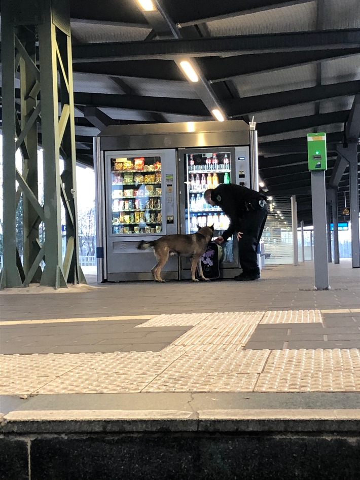 BPOLI MD: Sprengstoffspürhund auf dem Hauptbahnhof Magdeburg im Einsatz
