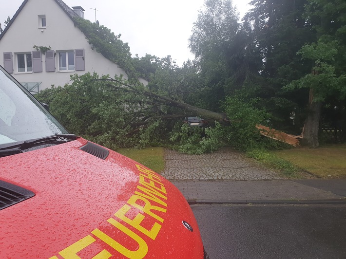 FW-MH: Gewitterfront über Mülheim. Baum stürzt auf Wohnhaus.