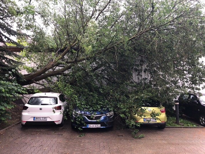 POL-HA: Baum stürzt in Eilpe auf drei geparkte Autos