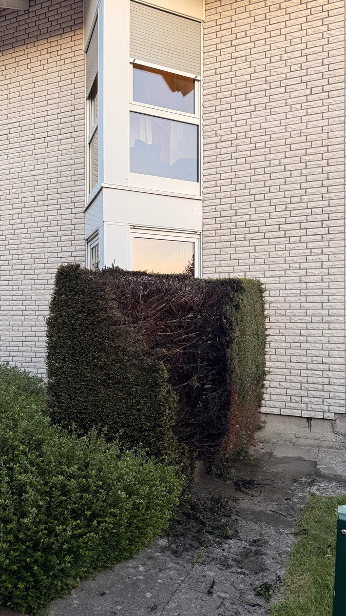 FW-DT: *Korrektur* Brennende Hecke - Anwohner verhindern Schlimmeres