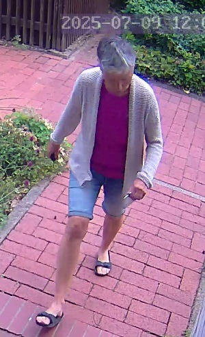POL-H: Öffentlichkeitsfahndung: Wer hat die gesuchte 60-Jährige aus Langenhagen gesehen?