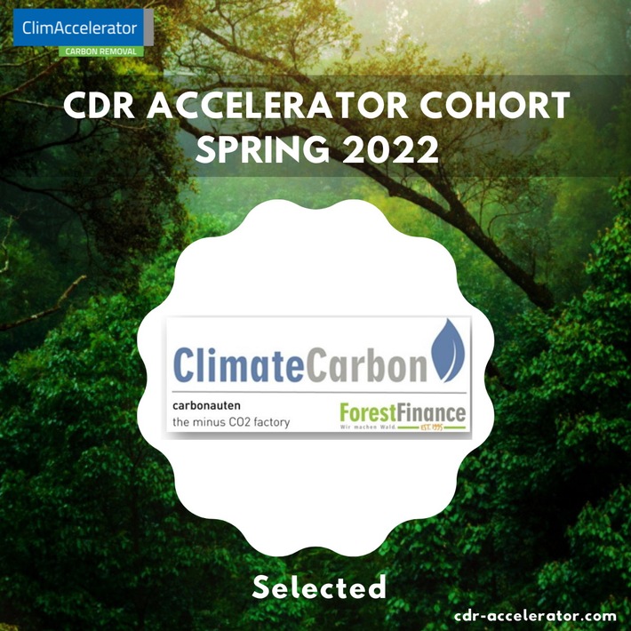 Pressemeldung: ClimateCarbon ist Teil des Carbon Removal ClimAccelerator