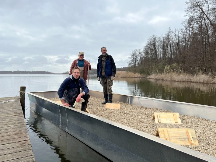 PM: Neue Brutinseln für Flussseeschwalben auf den Groß Schauener Seen