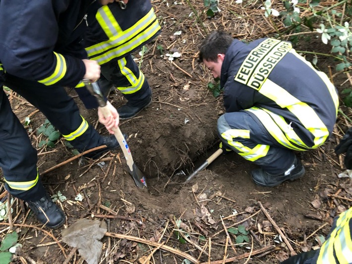 FW-D: Hund aus Erdloch befreit