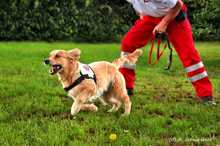 POL-WE: Von Mantrailern und Flächensuchhunden - Die tolle Arbeit der Rettungshunde und ihrer TrainerInnen