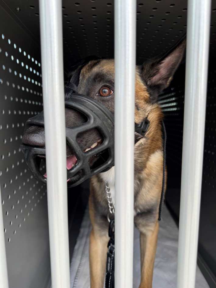 POL-DO: Nach viralen Social Media Video: Polizei nimmt Hund in Obhut