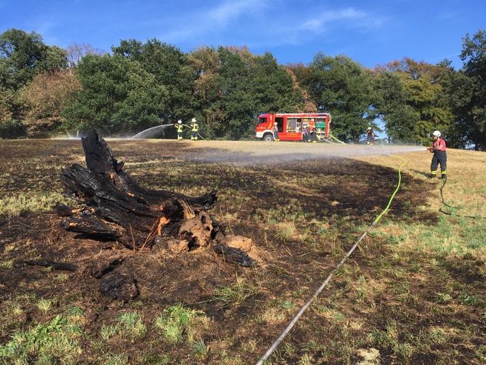 FW-EN: Flächenbrand in Waldnähe verläuft glimpflich - Polizei ermittelt