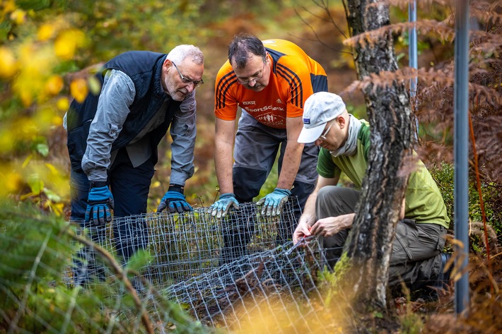Fast 20 Freiwillige räumen mit dem Bergwaldprojekt in Euskirchen wertvolle Naturschutzflächen nach der Flut auf