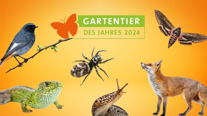 Pressemitteilung / Heinz Sielmann Stiftung - Wer wird Gartentier des Jahres 2024?