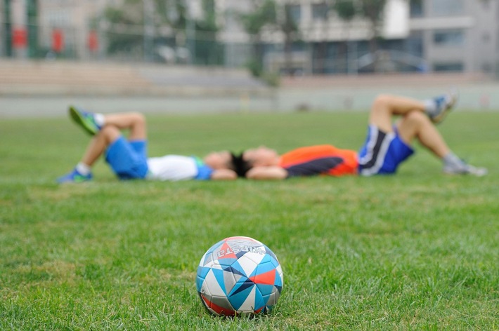 Themenmeldung: Das Runde im Eckigen: Spannende Buchtipps zur Fußball-EM in Deutschland