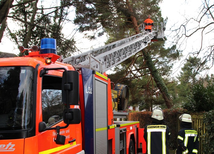 FW-BN: Sturmtief sorgt bis zum Abend für 90 Einsätze der Bonner Feuerwehr