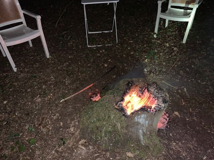 POL-KS: Baumstumpf angezündet; Brandgefahr im Wald: Kripo sucht Zeugen