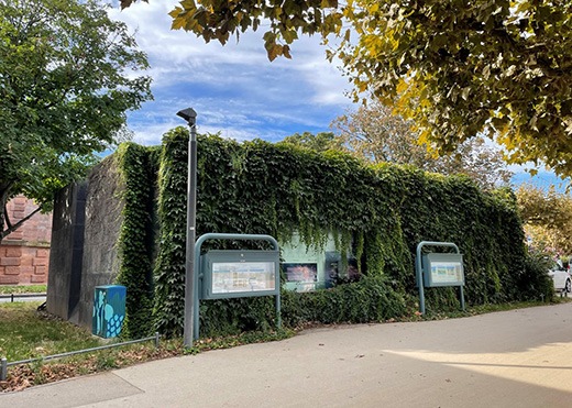 50 Jahre Rheinwasser-Untersuchungsstation Mainz-Wiesbaden