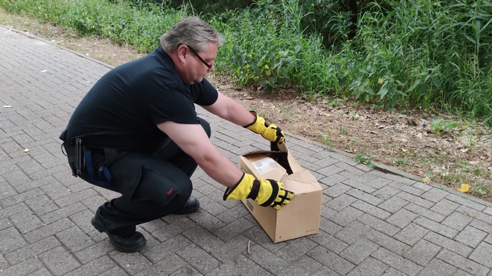 FW Celle: Schlange auf Abwegen - Polizei und Feuerwehr im Einsatz!