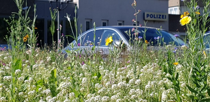 POL-PPTR: Blumen für die Polizei