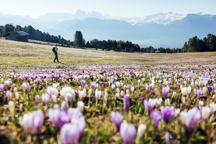 Erst die Bewegung, dann der Genuss: So startet die Region Klausen in den Südtiroler Frühling