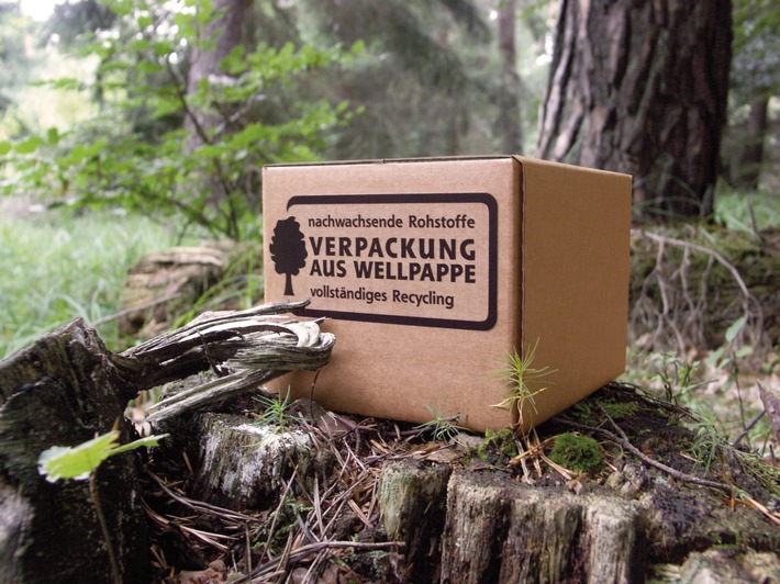 Internationaler Tag des Waldes: Rohstoff für Wellpappe stammt aus nachhaltiger Forstwirtschaft (mit Bild)
