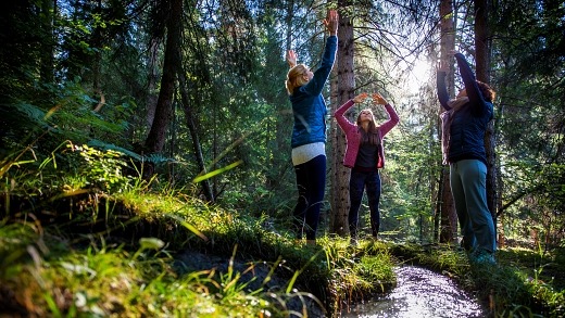 Romantik Hotel Schweizerhof Flims: Den Wald vor lauter Bäumen bewusst sehen