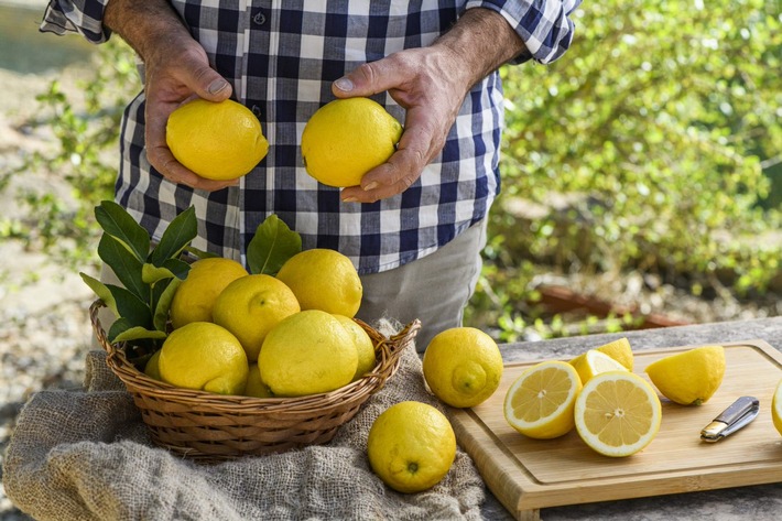 Cinq citrons frais exportés sur dix sont d’origine européenne