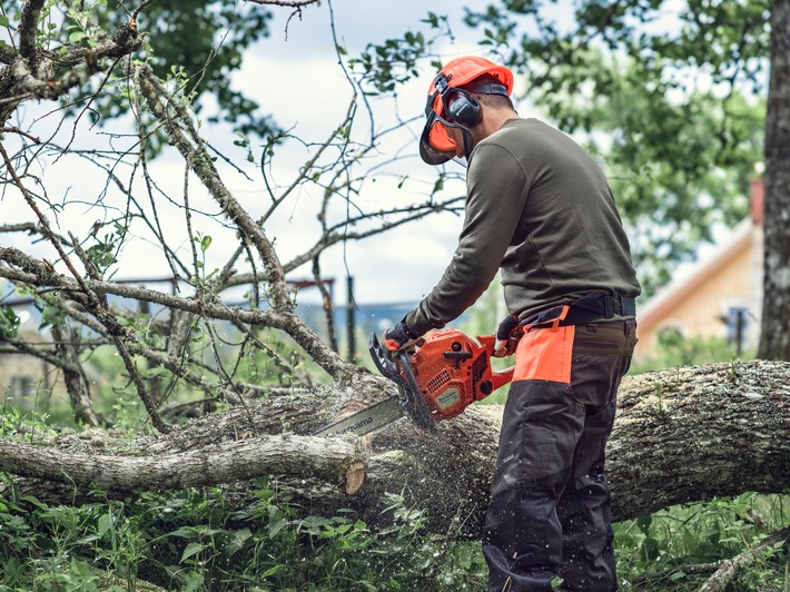 Gartenarbeit im Herbst - Fitnessprogramm mit Motorsäge