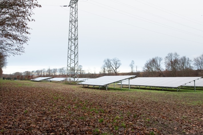 Klimaschutz für Köln - Freiflächen-Solarpark Weiden steht kurz vor der Inbetriebnahme