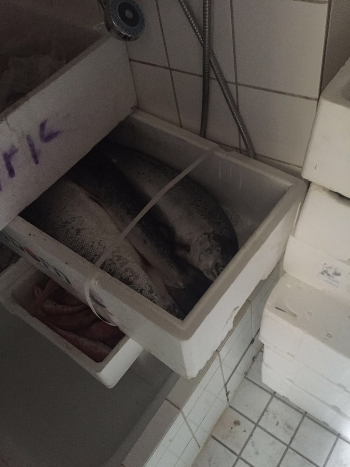 POL-D: Kühlkette unterbrochen - Intensivstraftäter nach Fischdiebstahl festgenommen - Fotos zum Sachverhalt