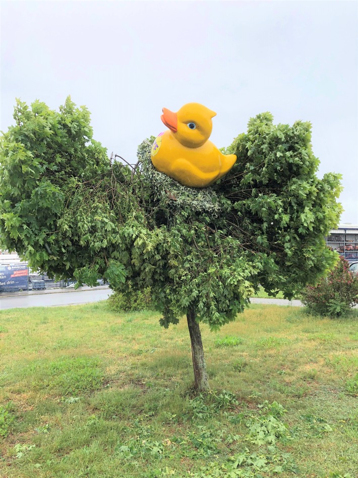 POL-PDKL: Diese Ente war standhaft!