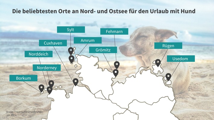 Urlaub mit Hund: Die beliebtesten Orte an Nord- und Ostsee im Vergleich