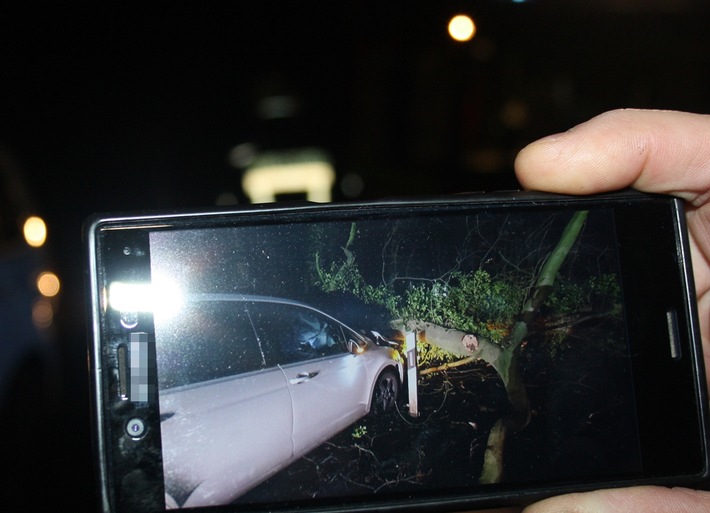 POL-UN: Werne - Verkehrsunfall mit einer leichtverletzten Person - Baum lag quer auf der Varnhöveler Straße
