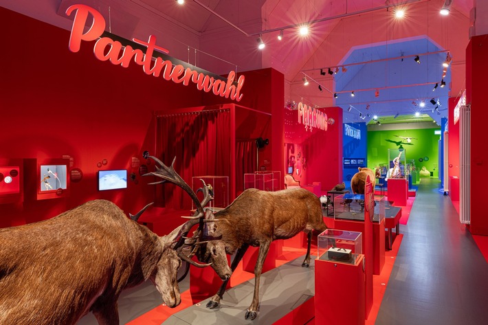 Naturhistorisches Museum Basel verlängert Ausstellung «SEXY – Triebfeder des Lebens»