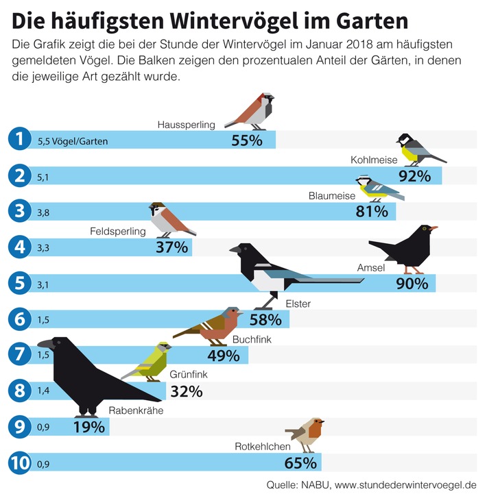NABU und LBV: Wieder mehr Wintervögel - insgesamt aber rückläufiger Trend