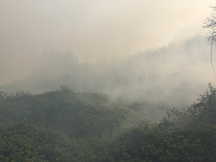 FW-MG: Feuer auf 30000 m2 Brachfläche gelöscht