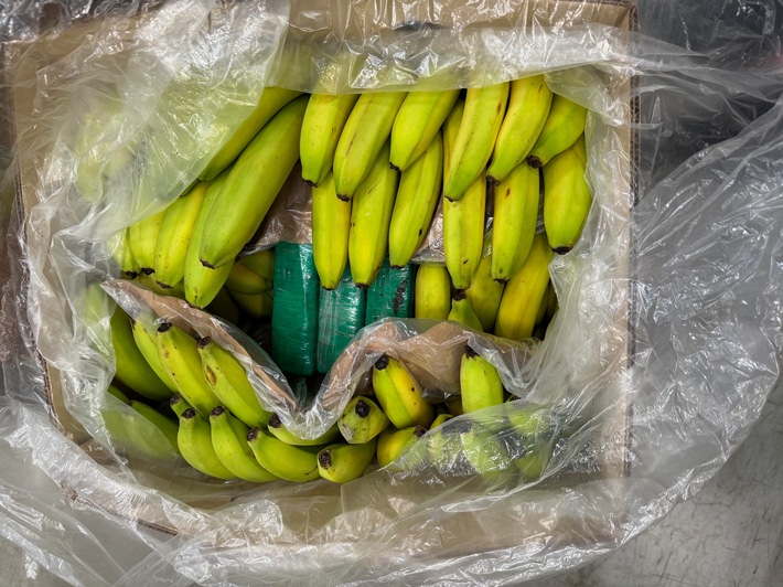 LKA-HE: Kokain in Bananenkisten - Zollfahndung und Polizei stellen mehr als 500 Kilogramm Rauschgift sicher