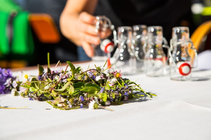 Wie die Naturwellness Allgäu traditionelles Kräuterwissen in moderne Auszeiten verwandelt.