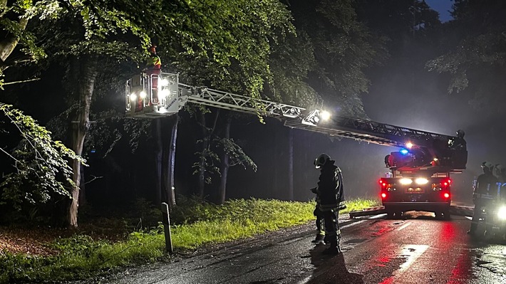 FW-AUR: Äste im Egelser Wald herabgestürzt