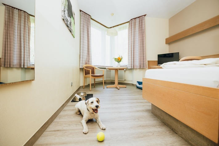 Rehabilitation mit dem eigenen Haustier: SRH Gesundheitszentrum Dobel verdoppelt das Angebot an Tierzimmern