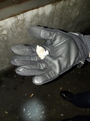 BPOL-FL: Elmshorn - Bundespolizisten stellen Marihuana am Bahnhof sicher