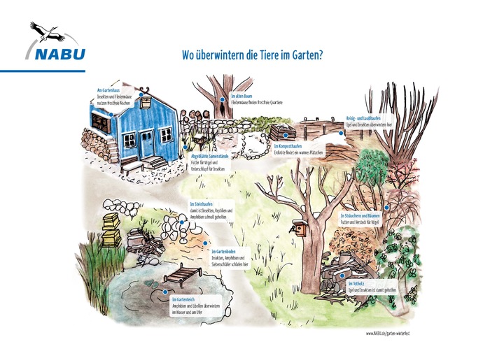 Welches Tier Ã¼berwintert wo im Garten? Unsere Grafik zeigt es. Weiterer Text Ã¼ber ots und www.presseportal.de/nr/6347 / Die Verwendung dieses Bildes ist fÃ¼r redaktionelle Zwecke honorarfrei. VerÃ¶ffentlichung bitte unter Quellenangabe: "obs/NABU/NABU/Jule Roschlau"