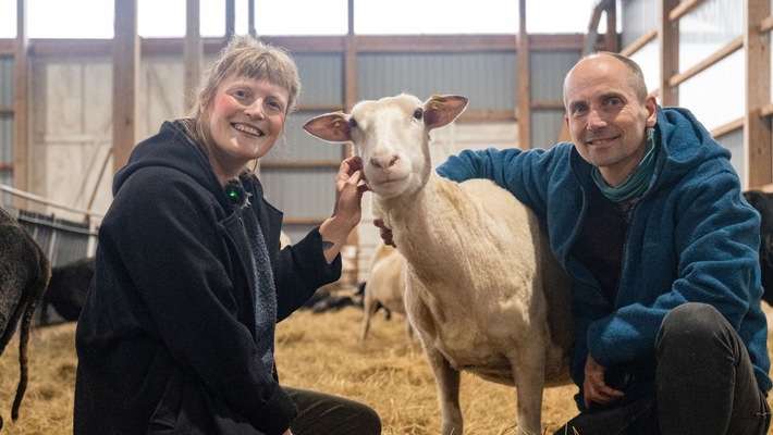 St. Peter-Ording: Podcast „Deichmomente“ wird zum Video-Erlebnis