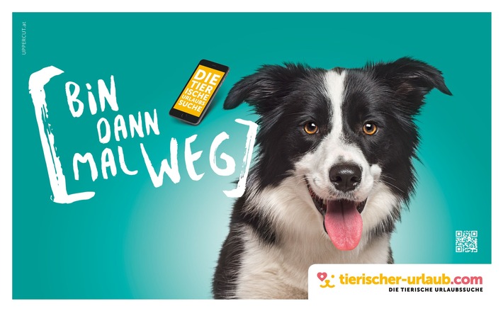 www.Tierischer-Urlaub.com - DIE Adresse für Urlaub mit Hund & Co - BILD