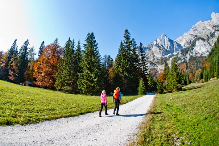 Kraftquelle Hochsteiermark - wo der Wald erdet und Bike- & Wandererlebnisse berühren