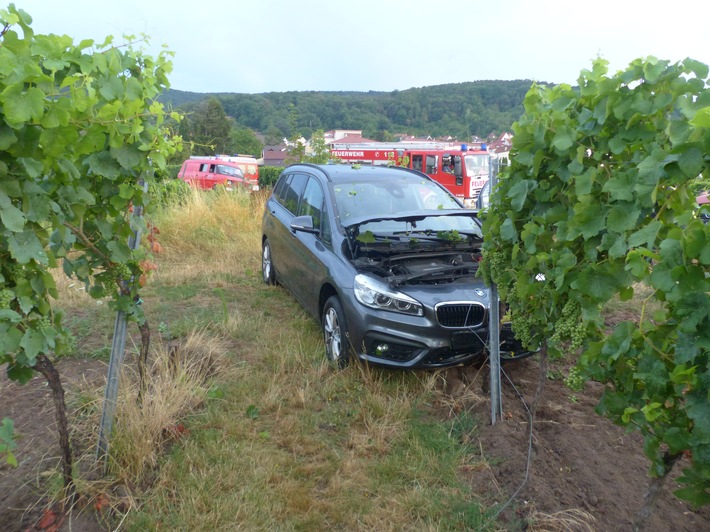 POL-PDNW: Unfall im Wingert