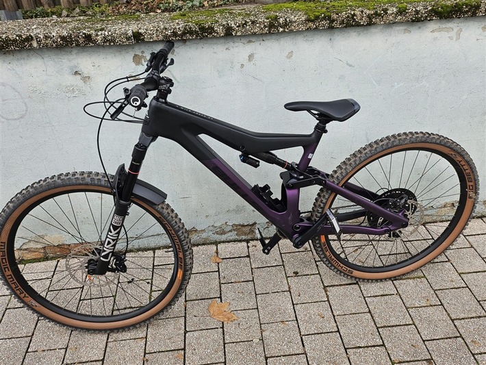 POL-PDLU: Speyer - Diebstahl eines hochwertigen Fahrrads - Zeugen gesucht