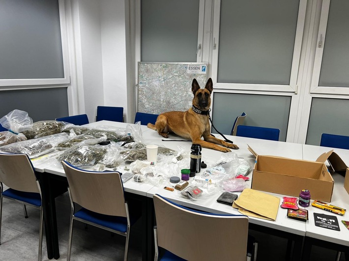 POL-E: Essen: Diensthund Tilda erschnüffelt Cannabis - 21-Jähriger in Untersuchungshaft