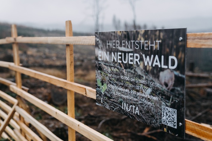 Presseinformation: Insta hilft dem Wald in der Region Lüdenscheid