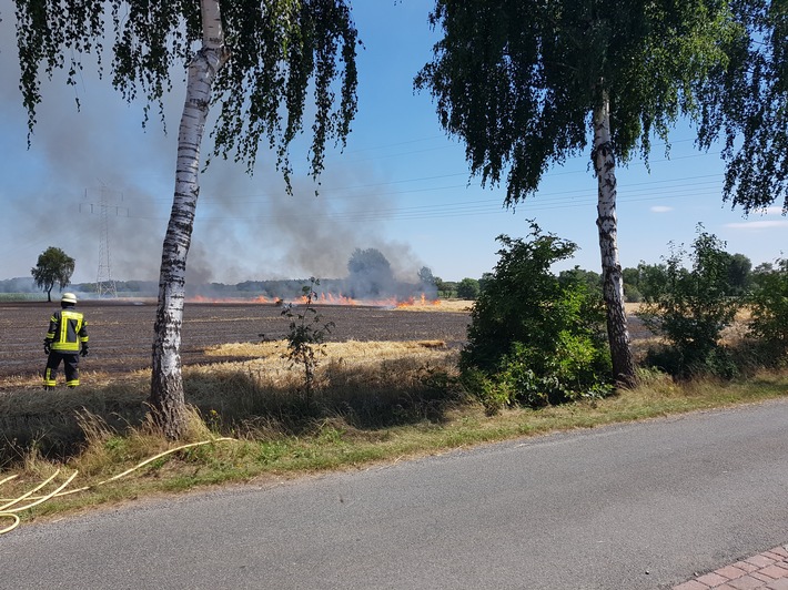 POL-VER: ++Getreidefeld niedergebrannt - Wind treibt Flammen von Wohnhaus weg++