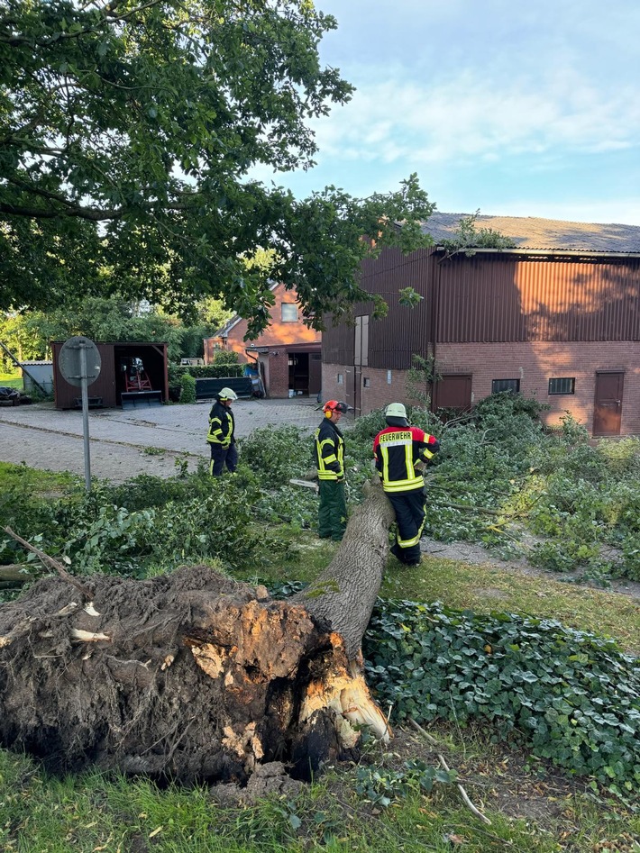 FFW Schiffdorf: Feuerwehr beseitigt Baum von Straße