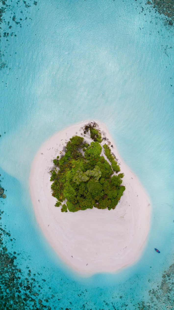 Gestrandet mit dem Survival-Profi? / So wählen Deutsche ihren Urlaubspartner laut Opodo-Umfrage