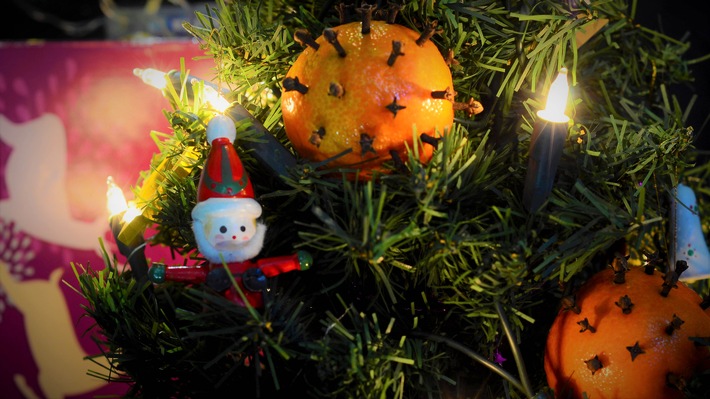 "ZDF.reportage": "Christbaum und Corona - Wer rettet Weihnachten?"