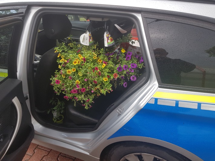 POL-BO: Bochum / Vielen Dank für die Blumen! - Bochumer Polizei bringt prächtig blühendes Diebesgut zurück